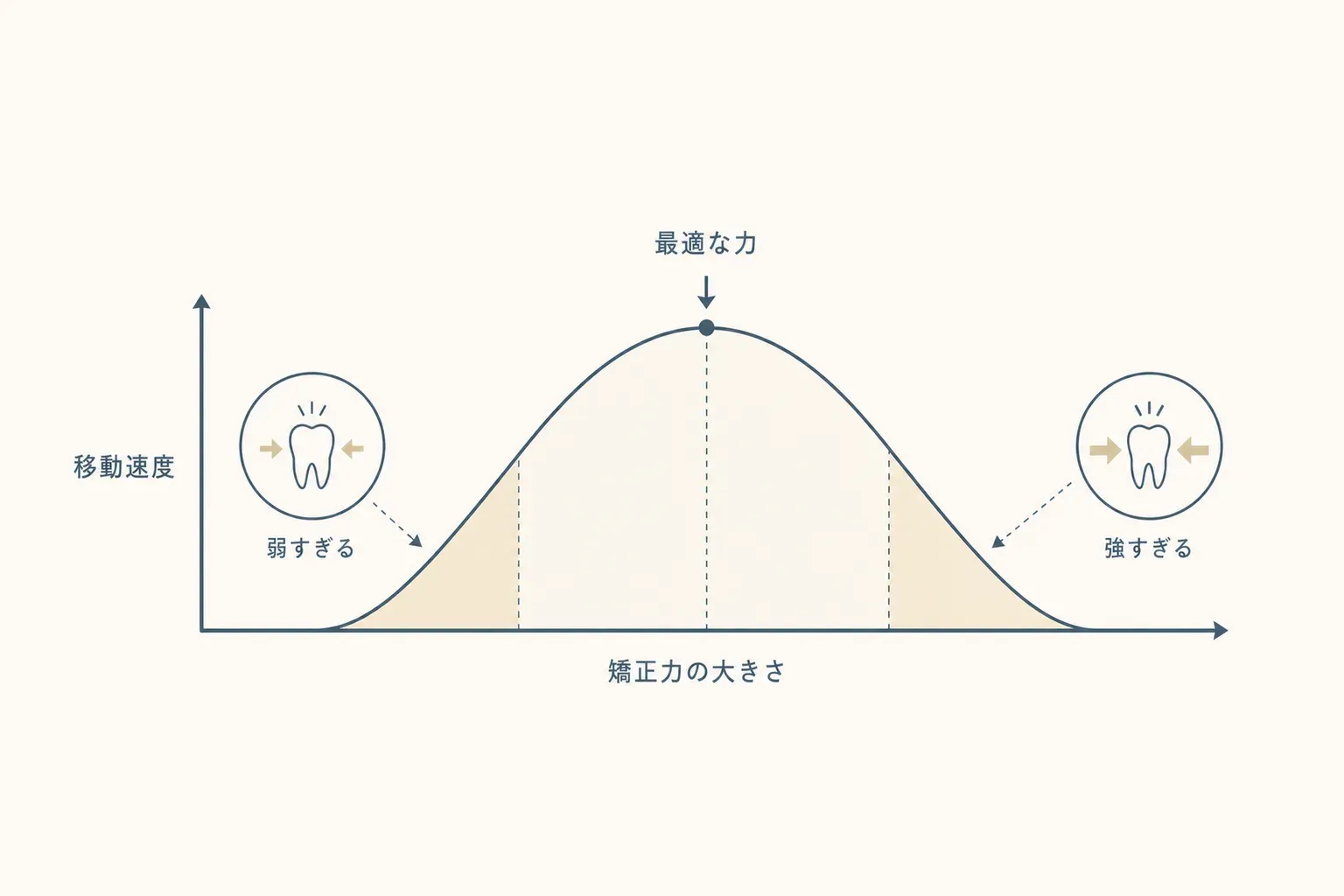 歯はどうやって動く？矯正で歯が動く仕組みをやさしく解説の解説イラスト
