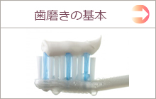 歯磨きの基本